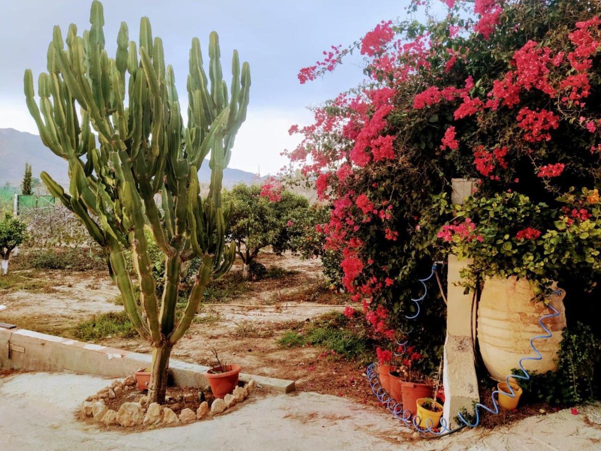La Vie En Rose Apartamento *